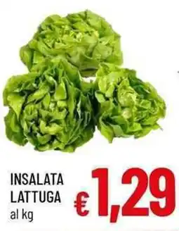 A&O Insalata lattuga offerta
