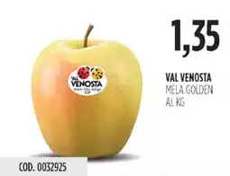 Carico Cash & Carry Val venosta mela golden offerta