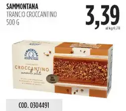 Carico Cash & Carry Sammontana trancio croccantino offerta
