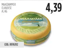 Carico Cash & Carry Maasdammer olandese offerta