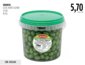 Carico Cash & Carry Granata olive verdi giganti offerta