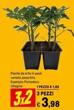 Iper La Grande Piante da orto in pack offerta