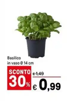 Iper La Grande Basilico in vaso Ø14 cm offerta
