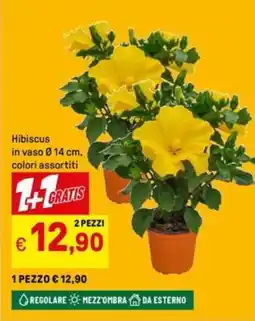 Iper La Grande Hibiscus in vaso Ø14 cm offerta