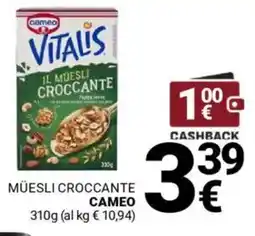 Supermercati Gulliver Müesli croccante CAMEO offerta