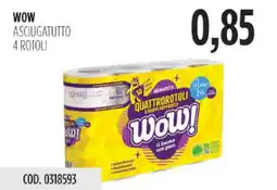 Carico Cash & Carry Wow asciugatutto offerta