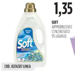 Carico Cash & Carry Soft ammorbidente concentrato offerta