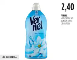 Carico Cash & Carry Vernel ammorbidente concentrato offerta