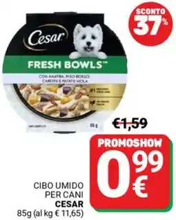 Supermercati Gulliver Cibo umido per cani CESAR offerta