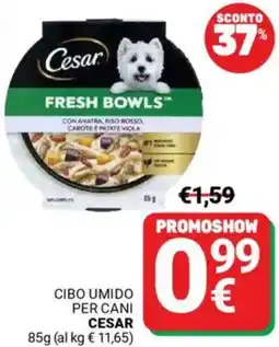 Supermercati Gulliver Cibo umido per cani CESAR offerta