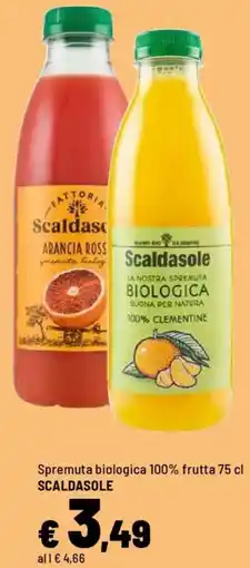 Iper La Grande Spremuta biologica 100% frutta SCALDASOLE offerta