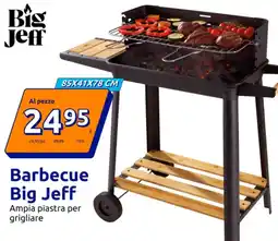 Action Barbecue Big Jeff offerta