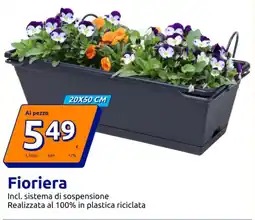 Action Fioriera offerta