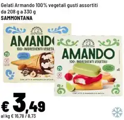 Iper La Grande Gelati Armando 100% vegetali SAMMONTANA offerta