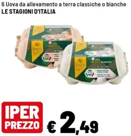 Iper La Grande 6 Uova da allevamento a terra classiche o bianche LE STAGIONI D'ITALIA offerta