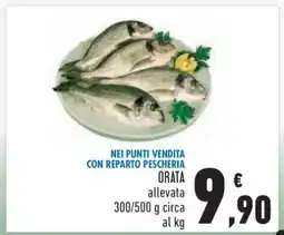 Conad Orata offerta