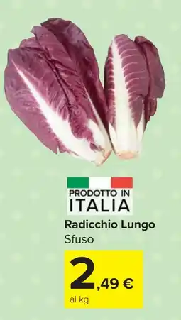 Carrefour Market Radicchio Lungo offerta
