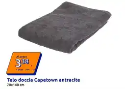 Action Telo doccia Capetown antracite offerta