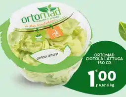 Extra Supermercati Ortomad ciotola lattuga offerta