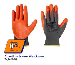Action Guanti da lavoro Werckmann offerta
