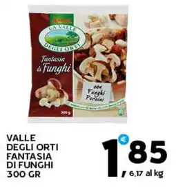 Extra Supermercati Valle degli orti fantasia di funghi offerta