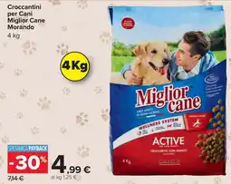 Carrefour Croccantini per Cani Miglior Cane Morando offerta