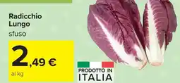 Carrefour Radicchio Lungo sfuso offerta
