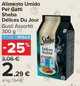 Carrefour Market Alimento Umido Per Gatti Sheba Délices Du Jour offerta