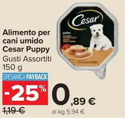 Carrefour Market Alimento per cani umido Cesar Puppy offerta