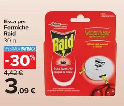 Carrefour Market Esca per Formiche Raid offerta