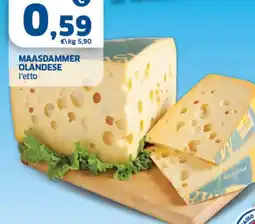 Sigma Maasdammer olandese offerta