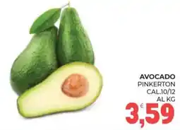 Eté Avocado pinkerton offerta