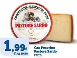 Sigma Cao Pecorino Pastore Sardo offerta