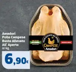 Sigma Amadori Pollo Campese Busto Allevato All' Aperto offerta
