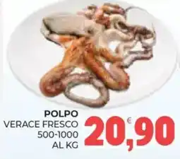 Eté Polpo verace fresco 500-1000 offerta