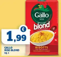 Sigma Gallo riso blond offerta