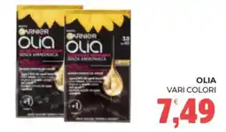 Eté Garnier olia vari colori offerta