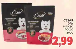 Eté Cesar dry manzo pollo offerta