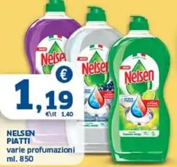 Sigma Nelsen piatti offerta