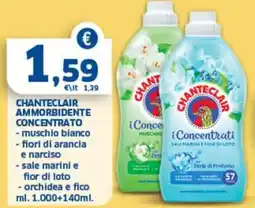 Sigma Chanteclair ammorbidente concentrato offerta