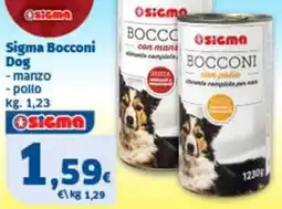 Sigma Sigma Bocconi Dog offerta