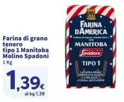 Sigma Farina di grano tenero tipo 1 Manitoba Molino Spadoni offerta