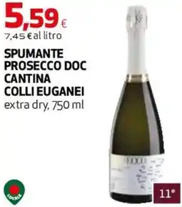 Coop Master Alleanza 3.0 Spumante prosecco doc cantina colli euganei offerta