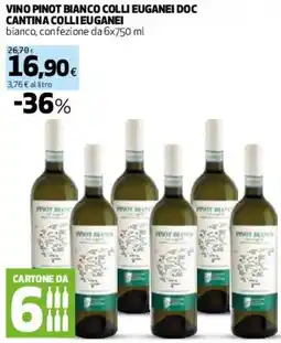 Coop Master Alleanza 3.0 Vino pinot bianco colli euganei doc cantina collieuganei offerta