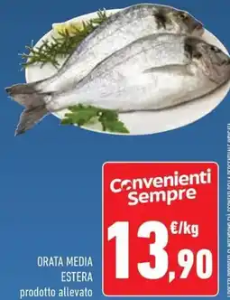 Conad Orata media estera offerta