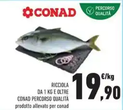 Conad Ricciola e oltre CONAD PERCORSO QUALITÀ offerta