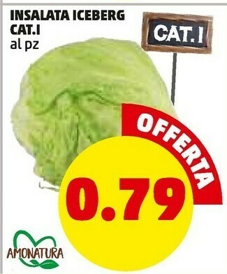 PENNY Insalata iceberg offerta