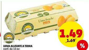 PENNY Uova allevate a terra offerta
