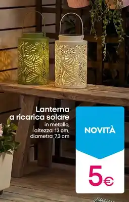 Pepco Lanterna a ricarica solare offerta