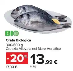 Carrefour Orata Biologica offerta